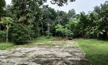 Jual Tanah bonus Tanah, Pinggir Jalan Besar, Lenteng Agung