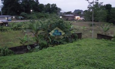 Pabrik Baru dekat Tol Rangkasbitung di Jalan Raya Kaduagung