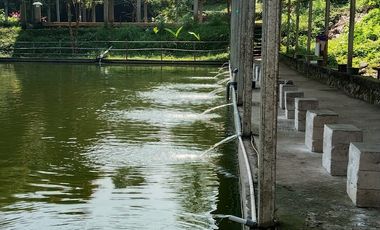 Property paling dicari saat ini : tempat healing di banyumanik