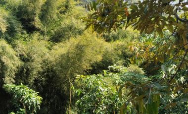 Property paling dicari saat ini : tempat healing di banyumanik