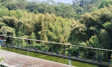 Property paling dicari saat ini : tempat healing di banyumanik