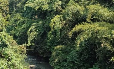 Property paling dicari saat ini : tempat healing di banyumanik