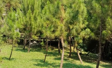 Property paling dicari saat ini : tempat healing di banyumanik