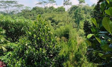 Property paling dicari saat ini : tempat healing di banyumanik