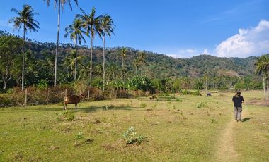 Tanah di pantai stangi pemenang sebelah klui di lepas cepat