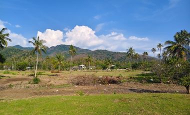 Tanah di pantai stangi pemenang sebelah klui di lepas cepat