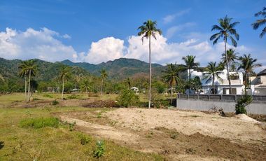 Tanah di pantai stangi pemenang sebelah klui di lepas cepat