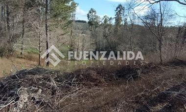 Parcela en Venta en Camino a Rafael por ruta 158