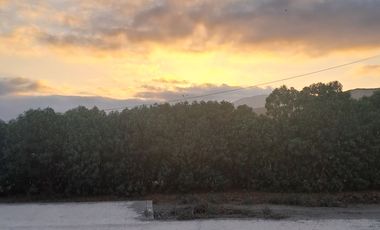 PARCELA SECTOR PRIVILIGIADO CHAMONATE