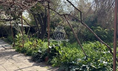 Sitio en Venta en 27 de Septiembre