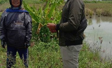 Mari Investasi Tanah Uk. 8x14m Di Buncitan Dekat Griya Tawang Alun SDA