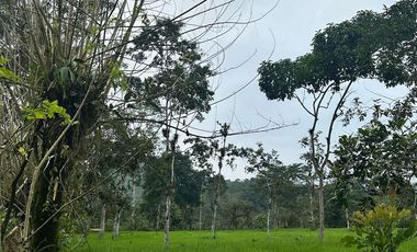 VENTA PROPIEDAD TURÍSTICA  AGRO INDUSTRIAL 226 HECT. EN BUCAY (AGE)