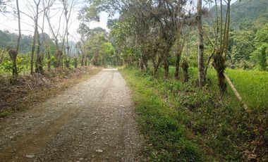 VENTA PROPIEDAD TURÍSTICA  AGRO INDUSTRIAL 226 HECT. EN BUCAY (AGE)