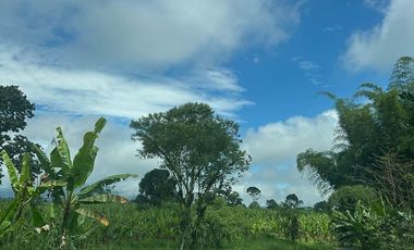 VENTA PROPIEDAD TURÍSTICA  AGRO INDUSTRIAL 226 HECT. EN BUCAY (AGE)