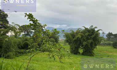 VENTA PROPIEDAD TURÍSTICA  AGRO INDUSTRIAL 226 HECT. EN BUCAY (AGE)