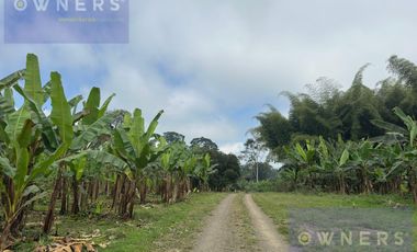 VENTA PROPIEDAD TURÍSTICA  AGRO INDUSTRIAL 226 HECT. EN BUCAY (AGE)