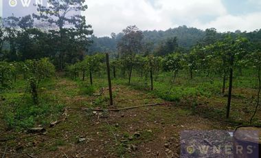 VENTA PROPIEDAD TURÍSTICA  AGRO INDUSTRIAL 226 HECT. EN BUCAY (AGE)