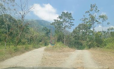 VENTA PROPIEDAD TURÍSTICA  AGRO INDUSTRIAL 226 HECT. EN BUCAY (AGE)