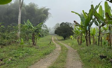 VENTA PROPIEDAD TURÍSTICA  AGRO INDUSTRIAL 226 HECT. EN BUCAY (AGE)