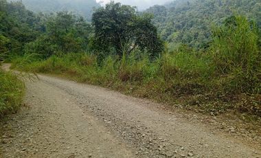 VENTA PROPIEDAD TURÍSTICA  AGRO INDUSTRIAL 226 HECT. EN BUCAY (AGE)