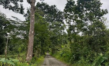 VENTA PROPIEDAD TURÍSTICA  AGRO INDUSTRIAL 226 HECT. EN BUCAY (AGE)