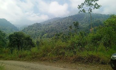 VENTA PROPIEDAD TURÍSTICA  AGRO INDUSTRIAL 226 HECT. EN BUCAY (AGE)