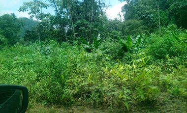 VENTA PROPIEDAD TURÍSTICA  AGRO INDUSTRIAL 226 HECT. EN BUCAY (AGE)