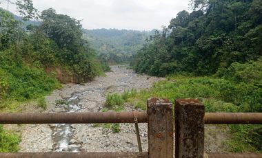 VENTA PROPIEDAD TURÍSTICA  AGRO INDUSTRIAL 226 HECT. EN BUCAY (AGE)