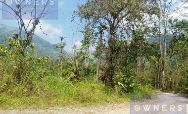 VENTA PROPIEDAD TURÍSTICA  AGRO INDUSTRIAL 226 HECT. EN BUCAY (AGE)