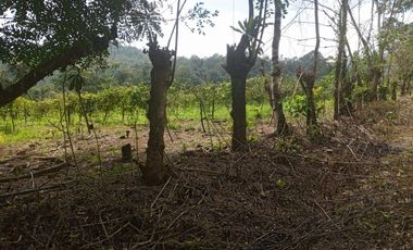 VENTA PROPIEDAD TURÍSTICA  AGRO INDUSTRIAL 226 HECT. EN BUCAY (AGE)