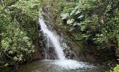 VENTA PROPIEDAD TURÍSTICA  AGRO INDUSTRIAL 226 HECT. EN BUCAY (AGE)