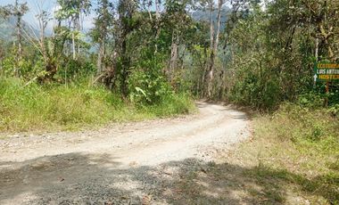 VENTA PROPIEDAD TURÍSTICA  AGRO INDUSTRIAL 226 HECT. EN BUCAY (AGE)