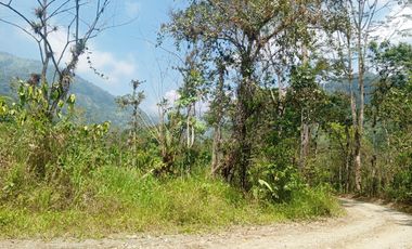 VENTA PROPIEDAD TURÍSTICA  AGRO INDUSTRIAL 226 HECT. EN BUCAY (AGE)