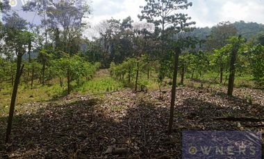VENTA PROPIEDAD TURÍSTICA  AGRO INDUSTRIAL 226 HECT. EN BUCAY (AGE)