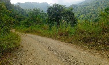 VENTA PROPIEDAD TURÍSTICA  AGRO INDUSTRIAL 226 HECT. EN BUCAY (AGE)