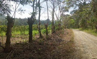 VENTA PROPIEDAD TURÍSTICA  AGRO INDUSTRIAL 226 HECT. EN BUCAY (AGE)