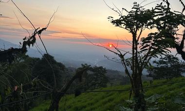 VENTA PROPIEDAD TURÍSTICA  AGRO INDUSTRIAL 226 HECT. EN BUCAY (AGE)