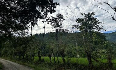 VENTA PROPIEDAD TURÍSTICA  AGRO INDUSTRIAL 226 HECT. EN BUCAY (AGE)