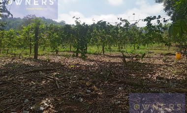 VENTA PROPIEDAD TURÍSTICA  AGRO INDUSTRIAL 226 HECT. EN BUCAY (AGE)