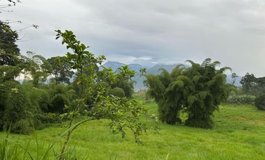 VENTA PROPIEDAD TURÍSTICA  AGRO INDUSTRIAL 226 HECT. EN BUCAY (AGE)