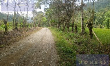 VENTA PROPIEDAD TURÍSTICA  AGRO INDUSTRIAL 226 HECT. EN BUCAY (AGE)