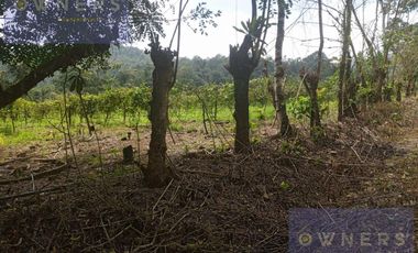 VENTA PROPIEDAD TURÍSTICA  AGRO INDUSTRIAL 226 HECT. EN BUCAY (AGE)
