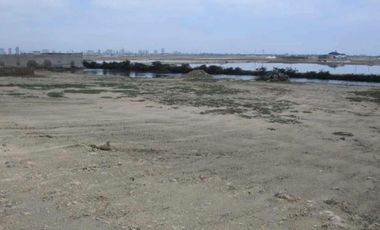 VENTA TERRENO FRENTE AL MAR SALINAS  LOTIZ.MIRAMAR (AGE)