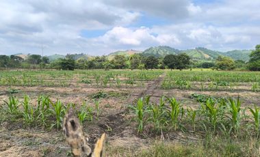 Terreno en Venta, Calceta, Manabi, MaxB