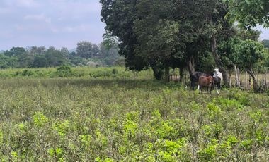 Terreno en Venta, Calceta, Manabi, MaxB