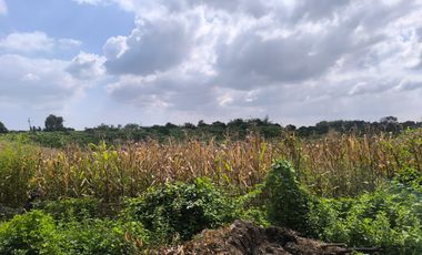 Terreno en Venta, Calceta, Manabi, MaxB