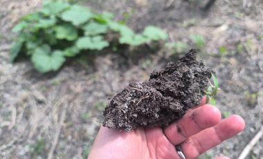 Terreno en Venta, Calceta, Manabi, MaxB