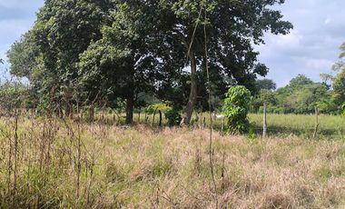 Terreno en Venta, Calceta, Manabi, MaxB