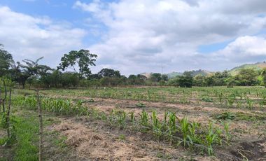 Terreno en Venta, Calceta, Manabi, MaxB