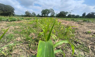 Terreno en Venta, Calceta, Manabi, MaxB